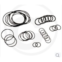 Kit o-ring fino serie n.182013001 per pompa a membrana AR 813 ANNOVI 67043020 | NewgardenParts.com