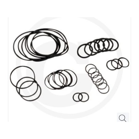 Kit o-ring fino serie n.182013001 per pompa a membrana AR 813 ANNOVI 67043020 | NewgardenParts.com