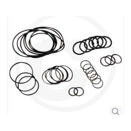 O-Ring-Satz bis Serien-Nr. 182013001 für Membranpumpe AR 813 ANNOVI 67043020 | NewgardenParts.com