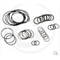 Kit o-ring fino serie n.182013001 per pompa a membrana AR 813 ANNOVI 67043020