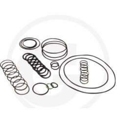 Kit o-ring per pompa a membrana AR 1064 AP C/C ANNOVI 6702378 | NewgardenParts.com