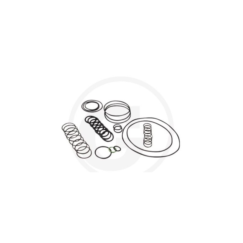 Kit o-ring per pompa a membrana AR 1064 AP C/C ANNOVI 6702378