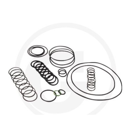 Kit o-ring per pompa a membrana AR 1064 AP C/C ANNOVI 6702378 | NewgardenParts.com