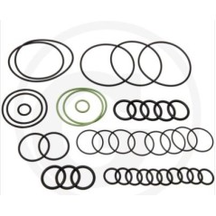 Kit o-ring per pompa a membrana AR 1064 AP C/C ANNOVI 67043022 | NewgardenParts.com