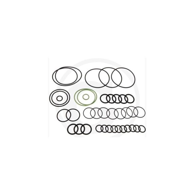 Kit o-ring per pompa a membrana AR 1064 AP C/C ANNOVI 67043022