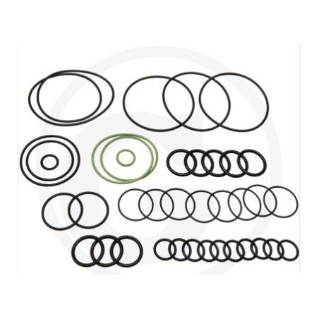 Kit o-ring per pompa a membrana AR 1064 AP C/C ANNOVI 67043022 | NewgardenParts.com