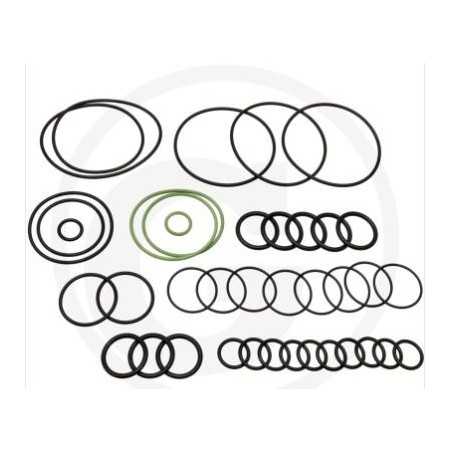 O-Ring-Satz für Membranpumpe AR 1064 AP C/C ANNOVI 67043022 | NewgardenParts.com