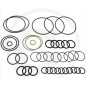 Kit o-ring per pompa a membrana AR 1064 AP C/C ANNOVI 67043022