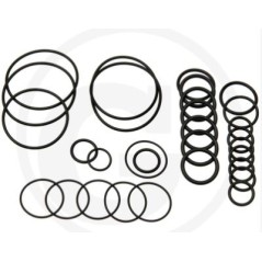 Kit o-ring per pompa a membrana AR 503 AP C/SP ANNOVI 6701984 | NewgardenParts.com