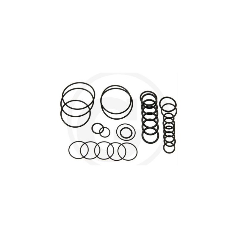 Kit o-ring per pompa a membrana AR 503 AP C/SP ANNOVI 6701984