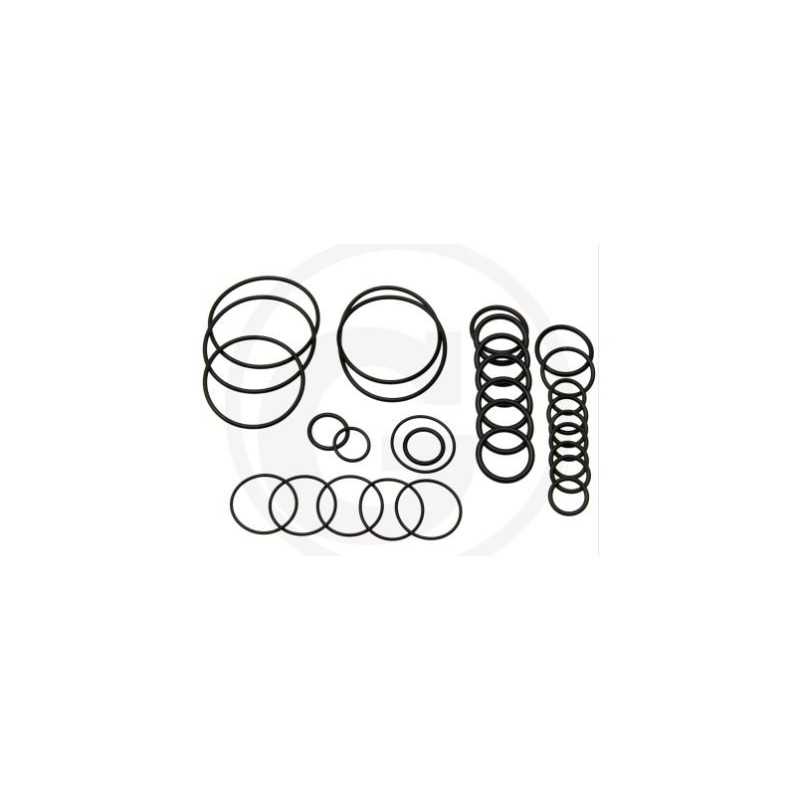 O-ring kit for AR 503 AP C/SP diaphragm pump ANNOVI 6701984
