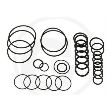 Kit o-ring per pompa a membrana AR 503 AP C/SP ANNOVI 6701984 | NewgardenParts.com