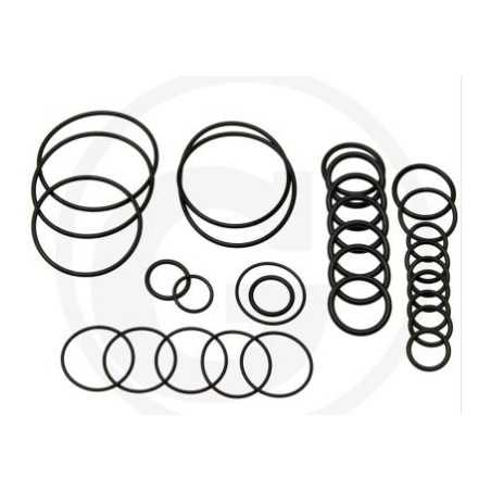O-Ring-Satz für Membranpumpe AR 503 AP C/SP ANNOVI 6701984 | NewgardenParts.com