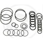 O-ring kit for AR 503 AP C/SP diaphragm pump ANNOVI 6701984