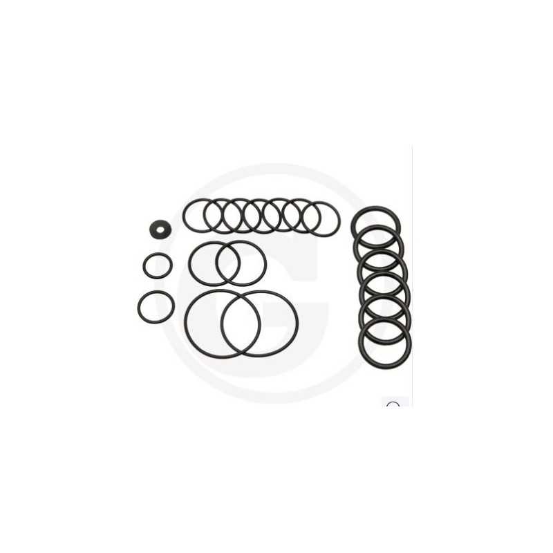 O-ring kit for diaphragm pump AR115 ANNOVI 6702026