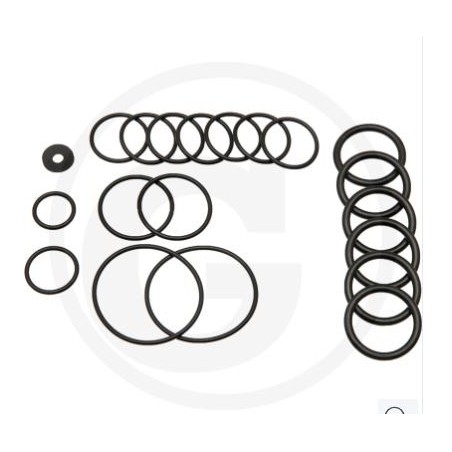 Kit O-ring per pompa a membrana AR115 ANNOVI 6702026 | NewgardenParts.com