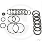 Kit de joints toriques pour pompe à membrane AR115 ANNOVI 6702026