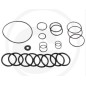 Kit O-ring per pompa a membrana AR160 185 ANNOVI 67012041