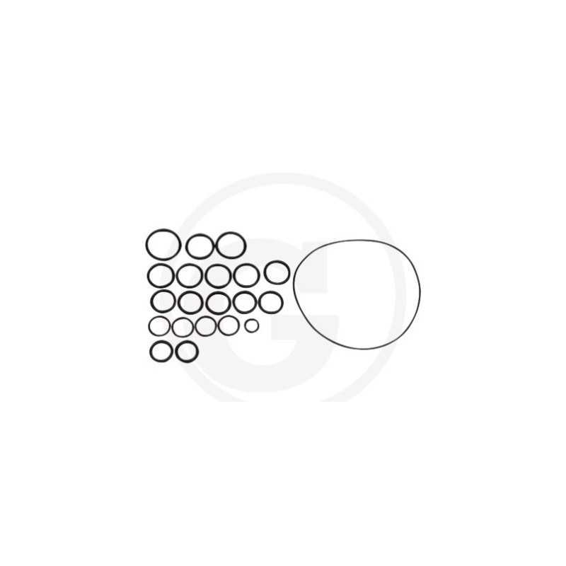 Kit de joints toriques pour pompe à membrane AR202 SP/RVI ANNOVI 6702409