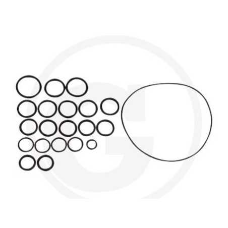 O-Ring-Satz für Membranpumpe AR202 SP/RVI ANNOVI 6702409 | NewgardenParts.com