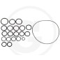 Kit de joints toriques pour pompe à membrane AR202 SP/RVI ANNOVI 6702409