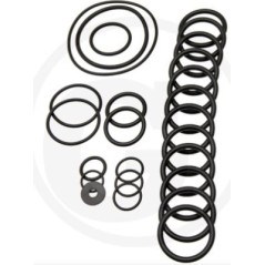 Kit o-ring per pompa a membrana AR560 bp Twin C/C ANNOVI 6702431 | NewgardenParts.com