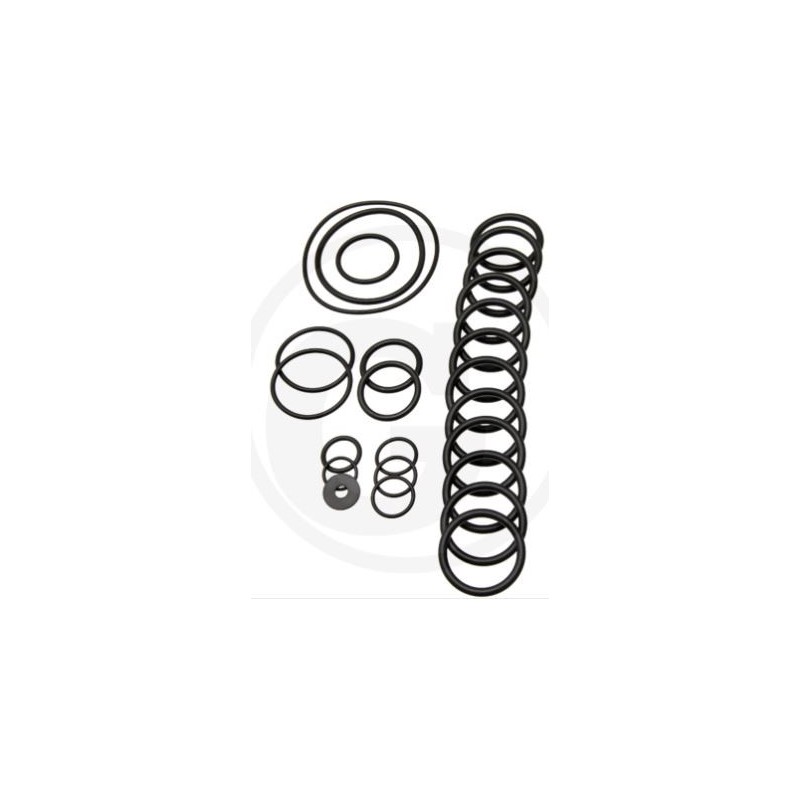 Kit o-ring per pompa a membrana AR560 bp Twin C/C ANNOVI 6702431