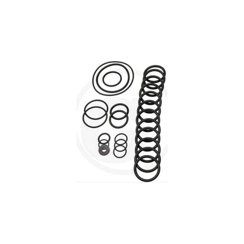 O-Ring-Kit für AR560 bp Twin C/C-Membranpumpe ANNOVI 6702431