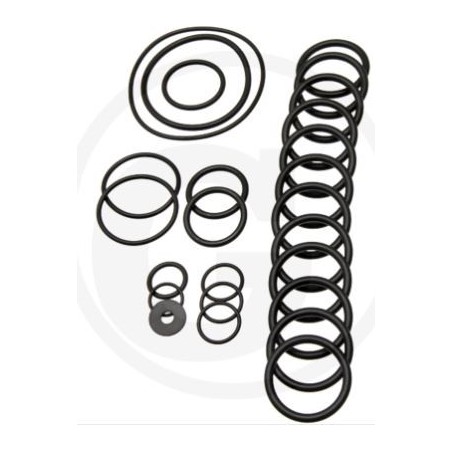 Kit o-ring per pompa a membrana AR560 bp Twin C/C ANNOVI 6702431 | NewgardenParts.com