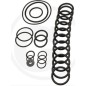 O-Ring-Kit für AR560 bp Twin C/C-Membranpumpe ANNOVI 6702431