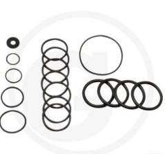 Kit O-RING per pompa a membrana AR70 ANNOVI 6702365 | NewgardenParts.com