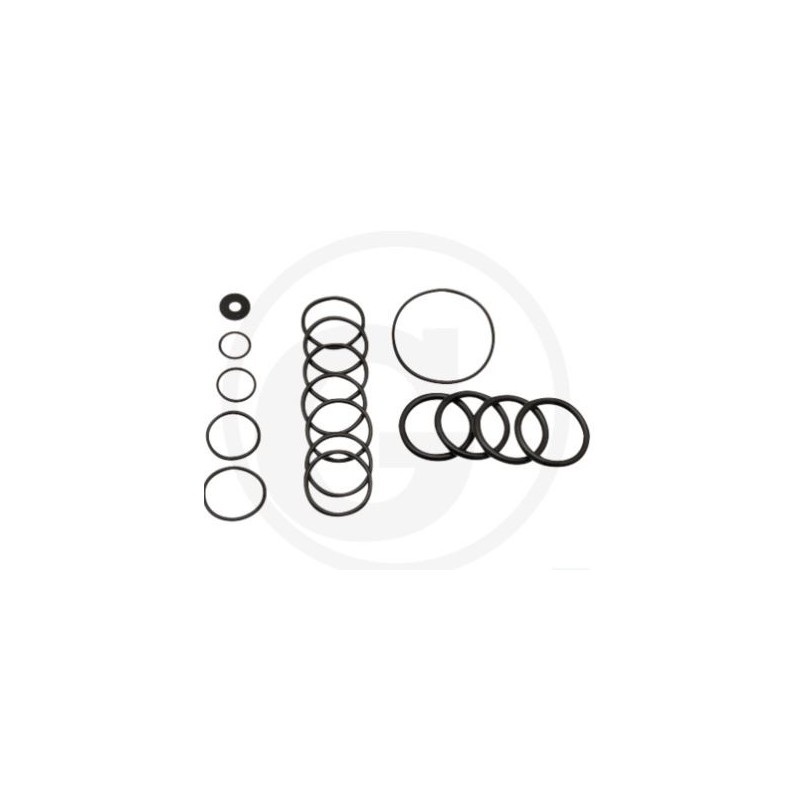 Kit O-RING per pompa a membrana AR70 ANNOVI 6702365