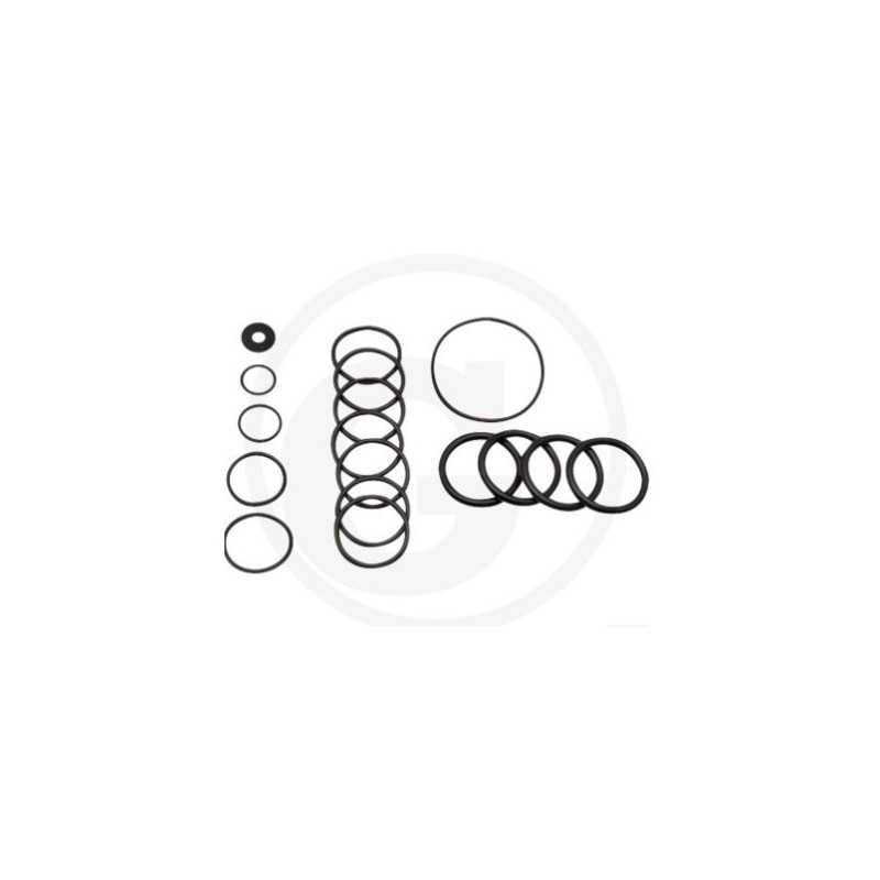 Kit O-RING pour pompe à membrane AR70 ANNOVI 6702365