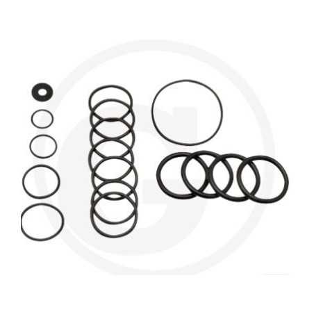 Kit O-RING pour pompe à membrane AR70 ANNOVI 6702365 | NewgardenParts.com