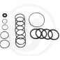 Kit O-RING pour pompe à membrane AR70 ANNOVI 6702365