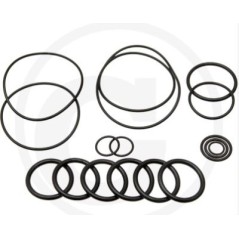 Kit o-ring per pompa a membrana BHA 130 AP C/C ANNOVI 6702446 | NewgardenParts.com