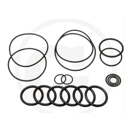 Kit o-ring per pompa a membrana BHA 130 AP C/C ANNOVI 6702446 | NewgardenParts.com