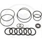 Kit o-ring per pompa a membrana BHA 130 AP C/C ANNOVI 6702446