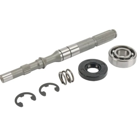 Kit pompa e cuscinetti ORIGINALE TUFF TORQ trazione trasmissione trattorino K51 | NewgardenParts.com