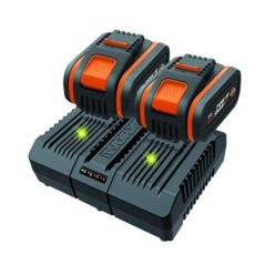 Kit power 20+20 WORX con 2 batterie da 4.0 Ah + caricabatterie DUAL STANDARD | NewgardenParts.com