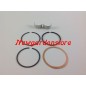 Kit prima manutenzione segmenti ZANETTI compatibile ZDM86 YANMAR 3.06.00001