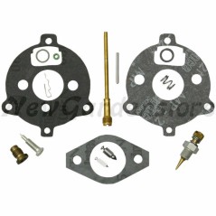 Carburettor overhaul kit BRIGGS & STRATTON 7-9hp horizontal engine | NewgardenParts.com