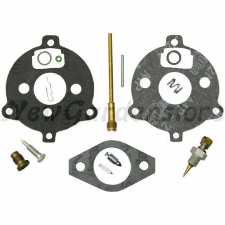 Vergaser-Überholungskit BRIGGS & STRATTON 7-9hp horizontaler Motor | NewgardenParts.com