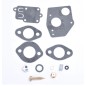 Carburettor overhaul kit 3-409 BRIGGS & STRATTON 3cv -5 horizontal