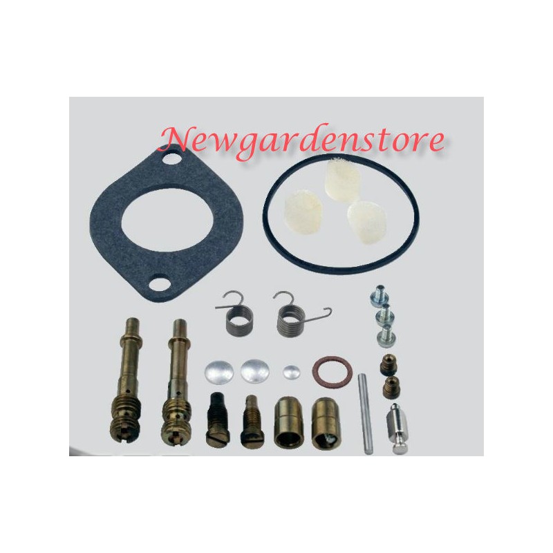 Kit revisione carburatori BRIGGS&STRATTON motore verticale 28 31 690191 segmenti