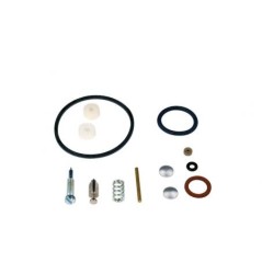 Kit revisione carburatori motore BRIGGS & STRATTON 3,4,5 cv serie max | NewgardenParts.com