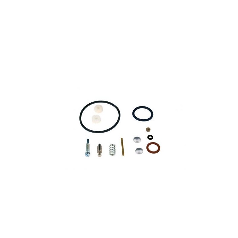 Kit revisione carburatori motore BRIGGS & STRATTON 3,4,5 cv serie max