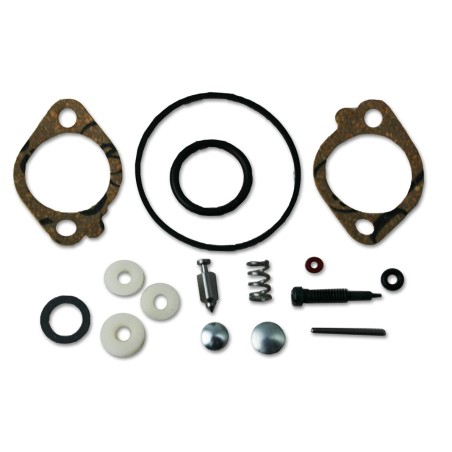 Kit revisione carburatori motore BRIGGS & STRATTON Quantum 5 cv | NewgardenParts.com