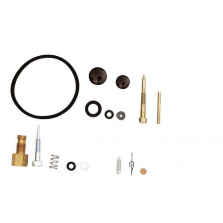 Kit revisione carburatori TECUMSEH 631029 631240 segmenti H25-30 LAV25-35 | NewgardenParts.com