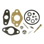 Kit revisione carburatori TECUMSEH AV520 UNIVERSAL SCHWIMMER TYP - ECH90